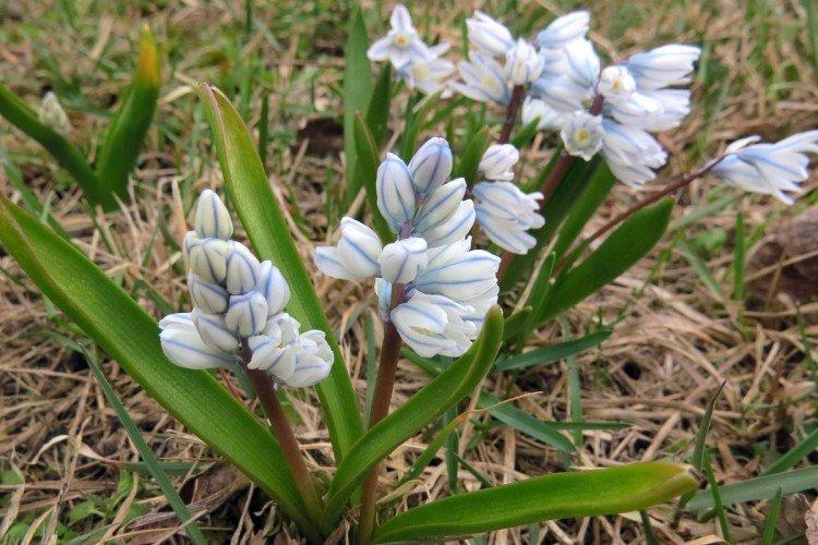 Lutte contre les parasites et les maladies