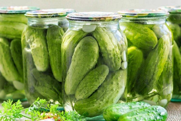 Concombres croustillants pour l'hiver