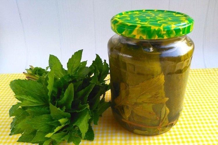 Concombres marinés à la menthe