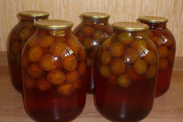 Compote de prunes pour l'hiver