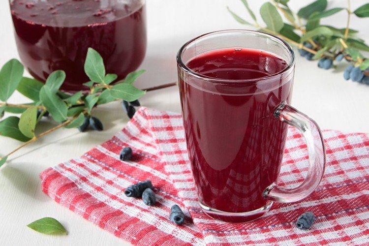 Compote de chèvrefeuille et rhubarbe