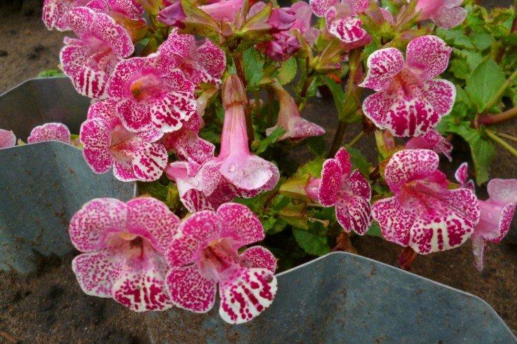 Température et éclairage