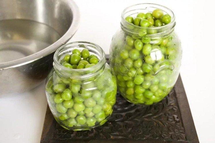 Récolte des pois pour l'hiver