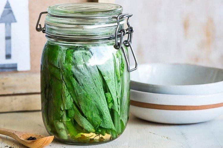 Récolte de l'ail sauvage pour l'hiver