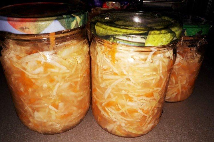 Récolte du chou pour l'hiver