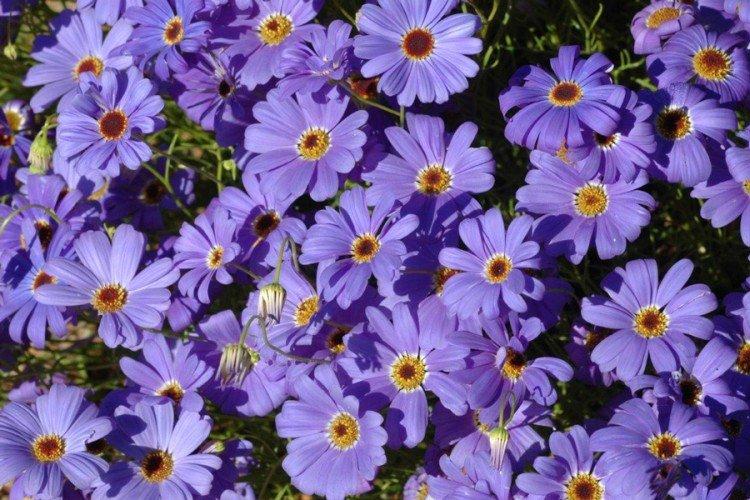 informations générales