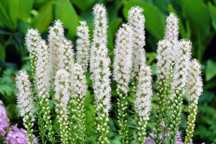 informations générales