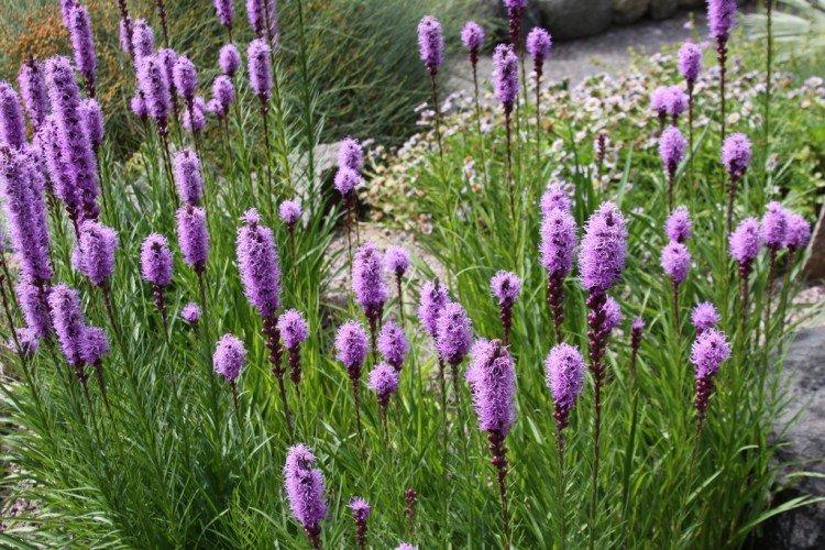 Engrais et alimentation