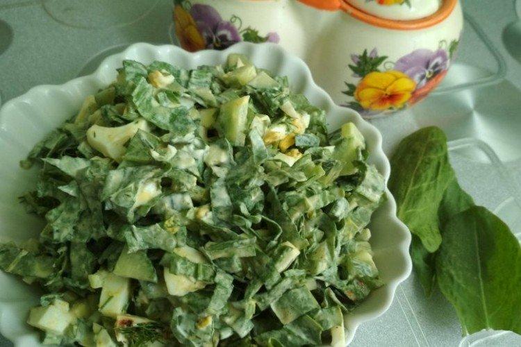 Salade d'oeufs, concombre et oseille