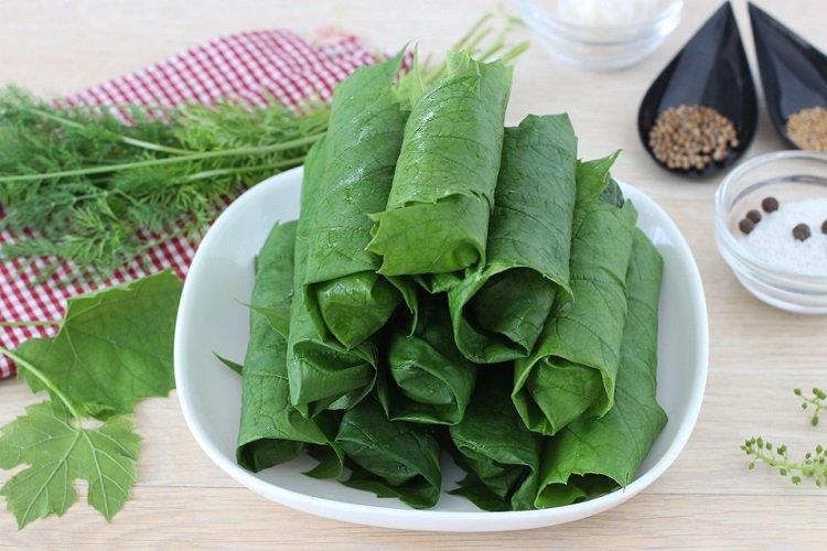 Concombres en feuilles de vigne pour l'hiver