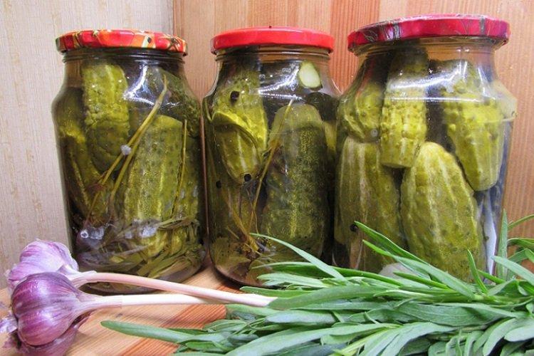 Concombres marinés au raifort râpé et à l'estragon