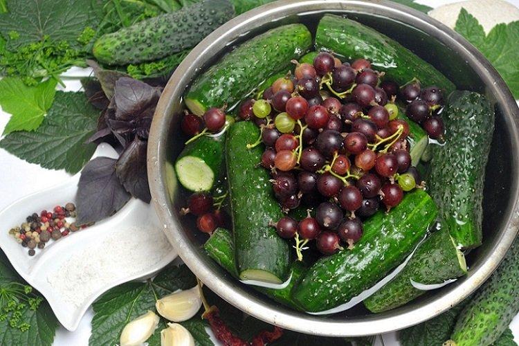 Concombres marinés aux groseilles et basilic