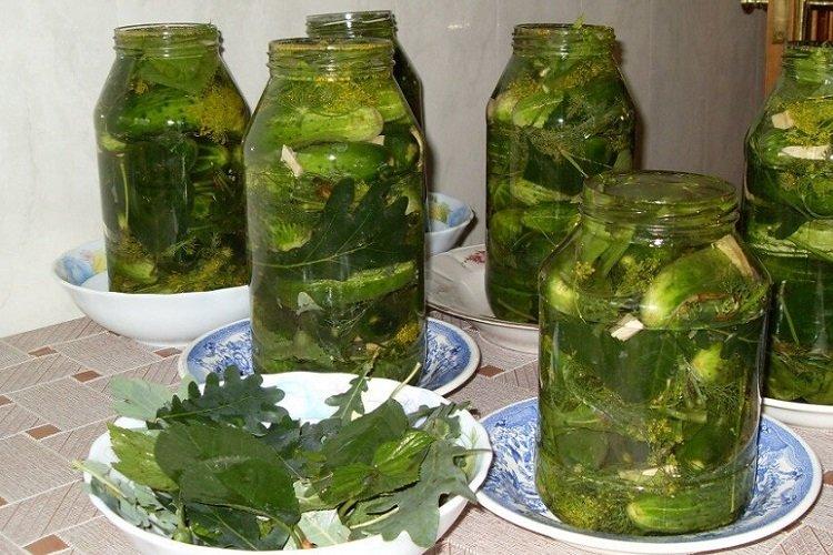 Concombres marinés aux feuilles parfumées