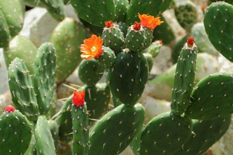 informations générales