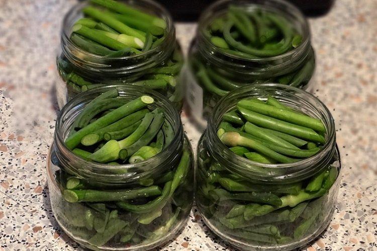 Flèches d'ail marinées à la vodka