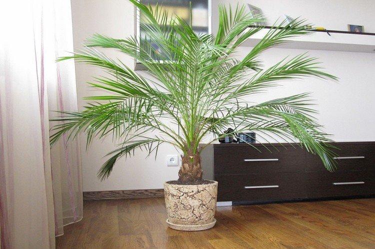 informations générales