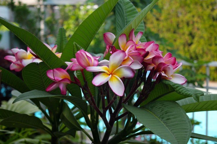 Température et éclairage