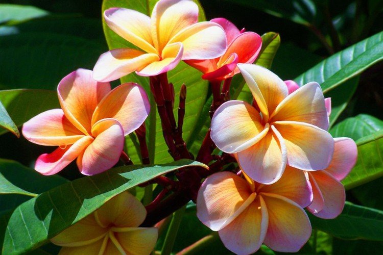 Humidité et pulvérisation