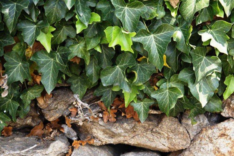 informations générales