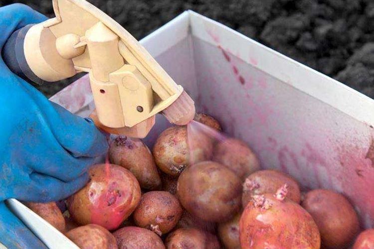 Préparation de la solution de Fundazole