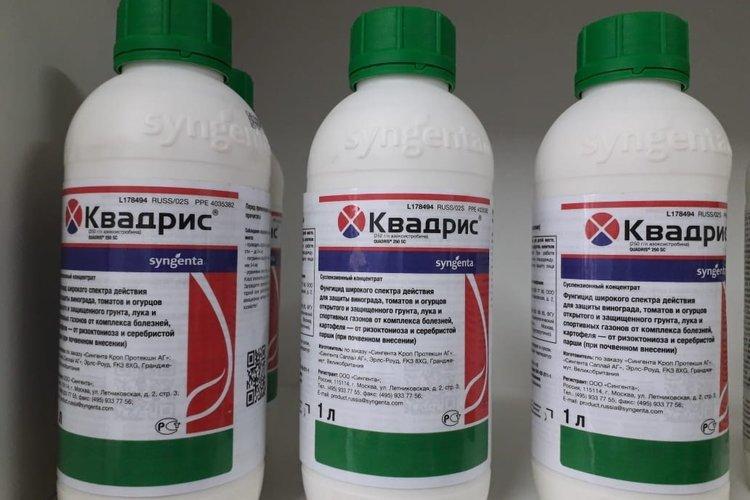 Dosage et consommation du fongicide Quadris