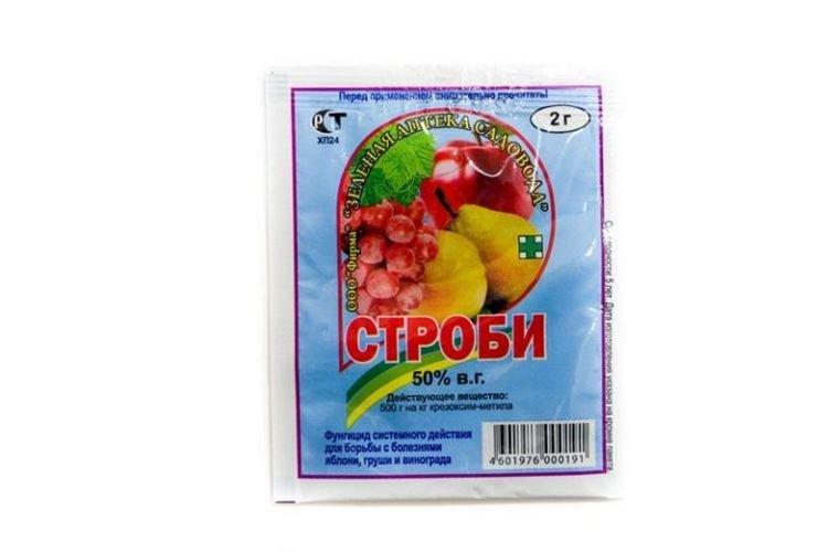 Inconvénients du fongicide Strobi