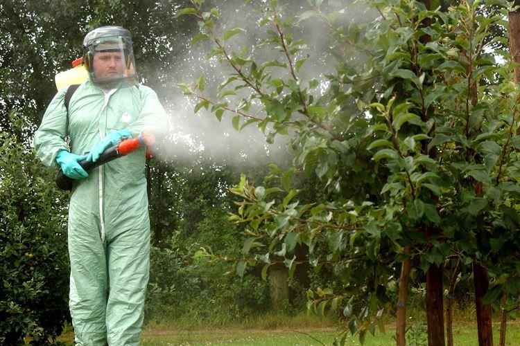 Fongicides végétaux systémiques - Comment ça marche