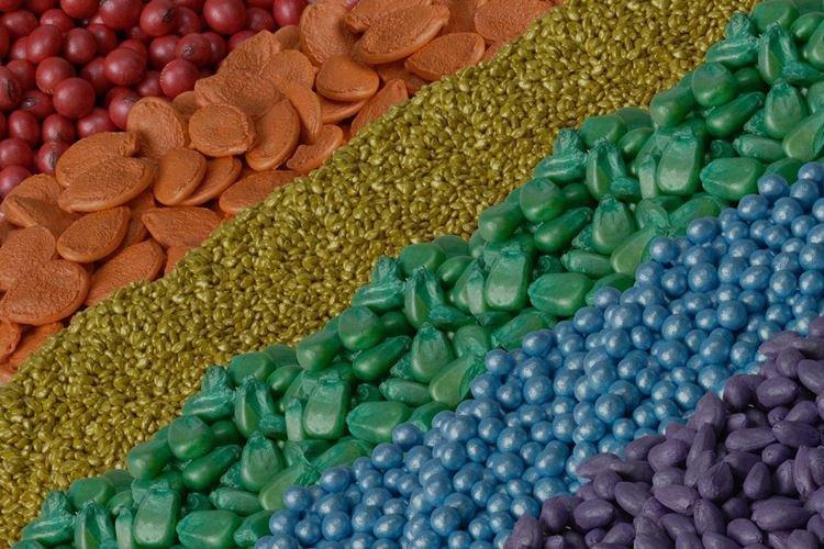 Traitement des semences - Application de fongicides aux plantes