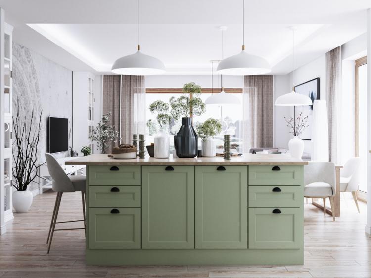 Galanthus : Aménagement cuisine-salon