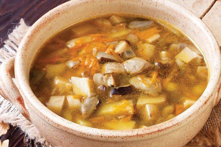 Soupe aux champignons de cèpes surgelés - recettes
