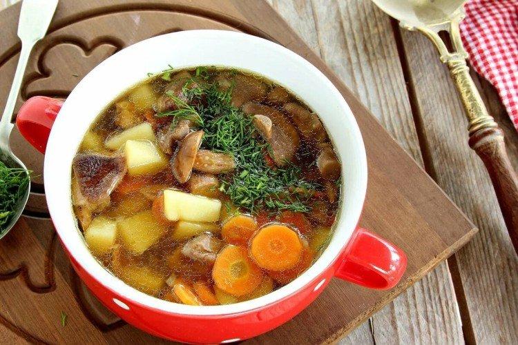 Soupe aux champignons dans une mijoteuse - recettes