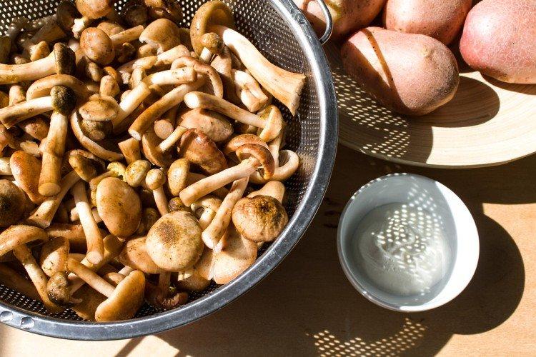 Règles de base pour la préparation - Comment et combien cuire les champignons