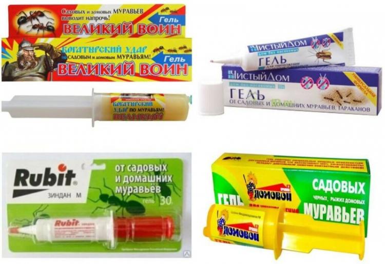 Gels - Comment se débarrasser des fourmis dans la maison et l'appartement