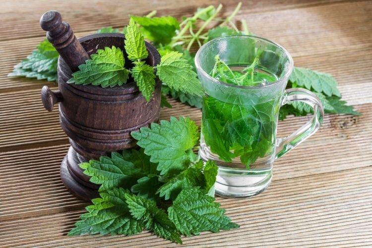 Ortie - Comment se débarrasser des pellicules