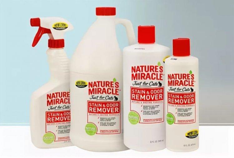 Remèdes avec des enzymes - Comment se débarrasser de l'odeur d'urine de chat dans l'appartement