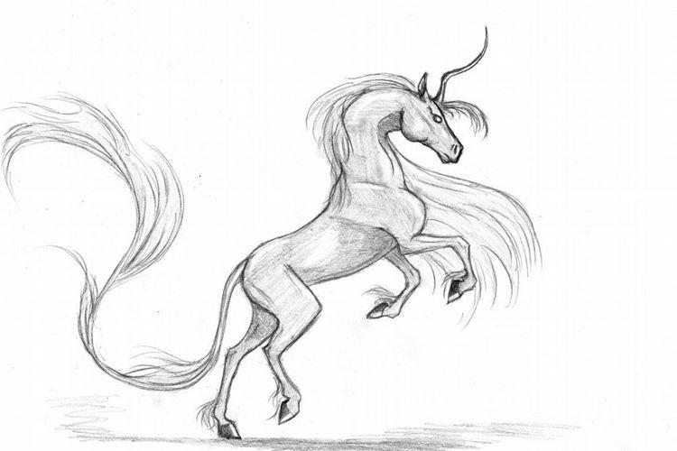 Comment dessiner une licorne avec un crayon