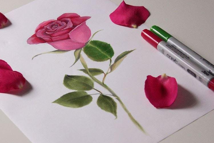 Comment dessiner une rose avec des marqueurs et des crayons