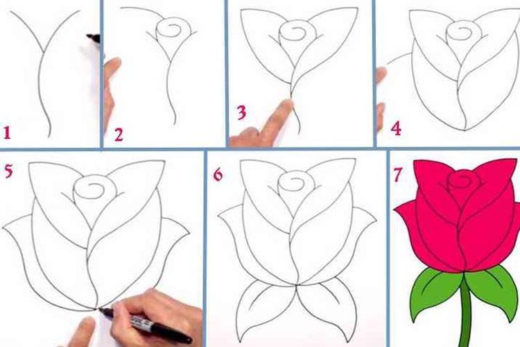 Comment dessiner une rose pour les petits enfants