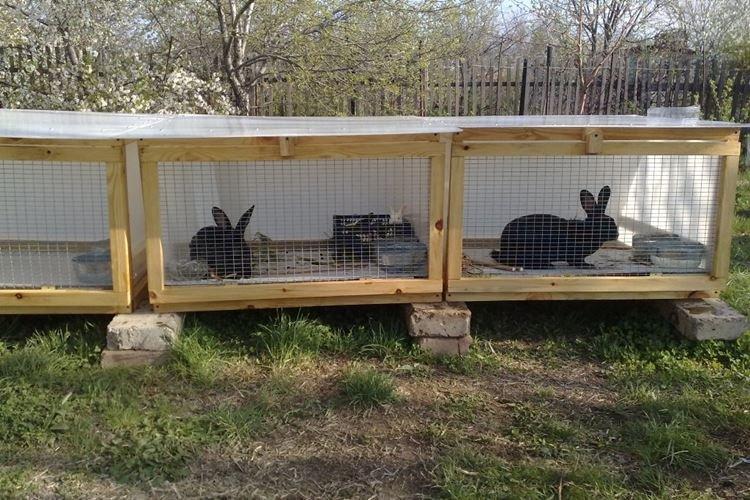 Cages à un niveau bricolage pour lapins