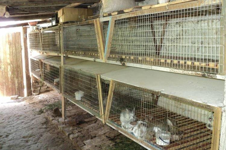 Cages pour jeunes animaux - Cages à lapins bricolage