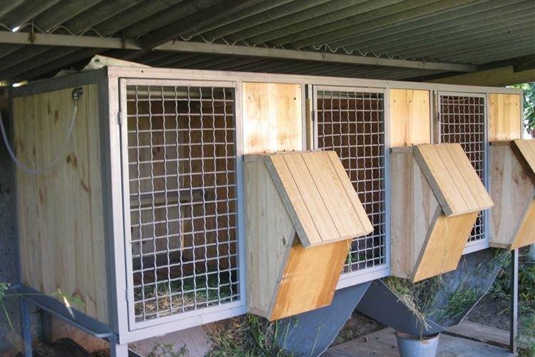 Cages pour jeunes animaux - Cages à lapins bricolage