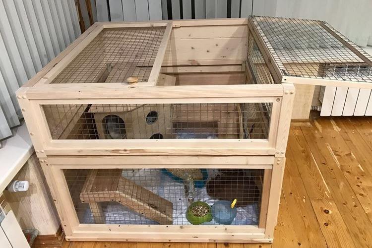 Cages de lapin nain bricolage