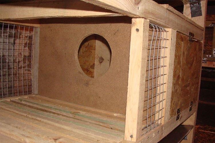 Cages pour okrol - Cages à lapins DIY