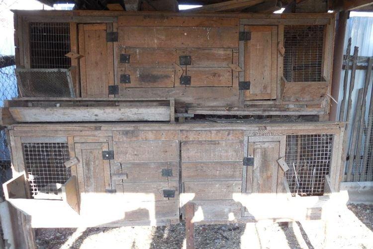 Cages d'accouplement - Cages à lapins bricolage