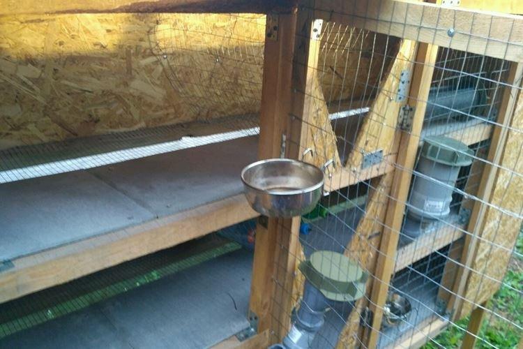 Cages Zolotukhin - Cages à lapins bricolage