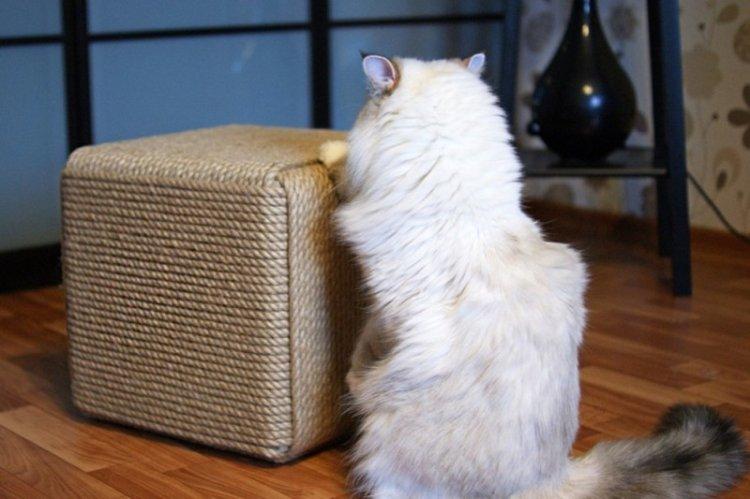 Griffoir bricolage pour chats