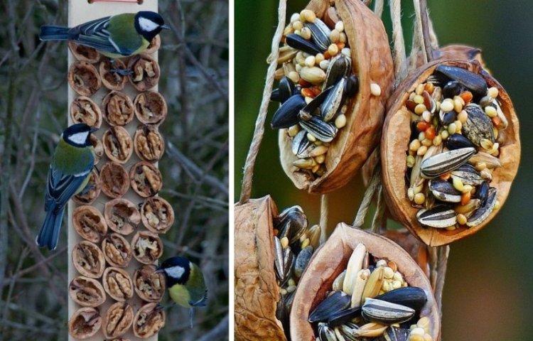 Planche de noyer - Mangeoires à oiseaux DIY