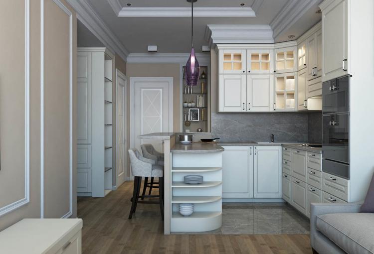 Cuisine-salon dans un style classique moderne - design d'intérieur