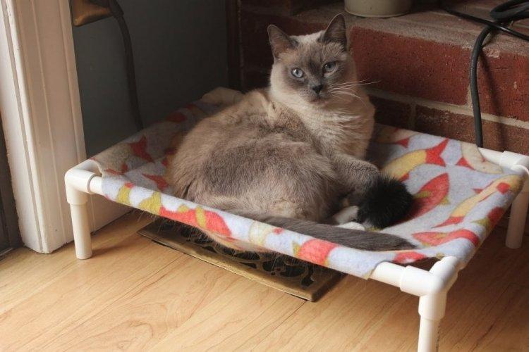 Lit hamac à faire soi-même pour chat