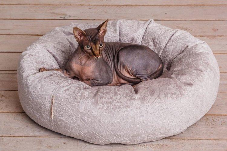 Lit pour chat à faire soi-même - photos et idées